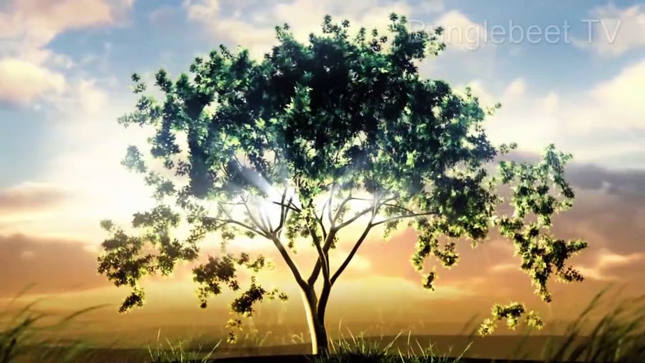 The Fall