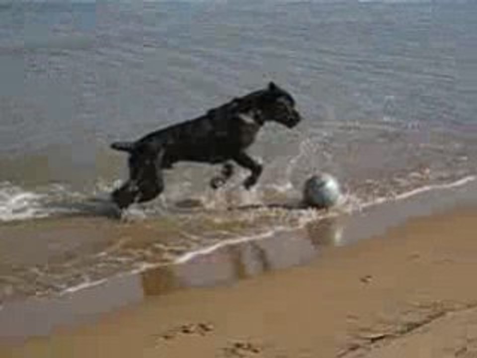 à la plage!!!