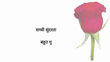 घमन्डी गुलाब का फुल | सच्ची सुन्दरता | moral story lessonable story kahani