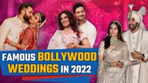 Alia Bhatt से लेकर Ali Fazal समेत इन सितारों ने 2022 में रचाई शादियां, Bollywood Marriages 2022!