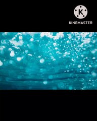 Aa ja ri nindiya tu Bollywood lori by Baljeet singh