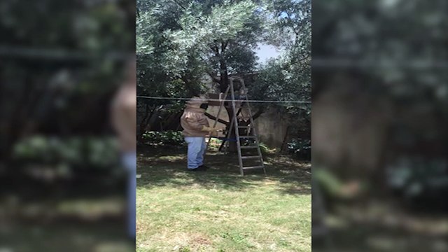 Defesa Civil já atendeu ocorrências em todas as regiões da cidade nesta véspera de Natal