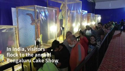 Original creations on display at India's Bengaluru Cake Show