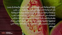 تفسير رؤية الجوافة في المنام وحلم أكل الجوافة