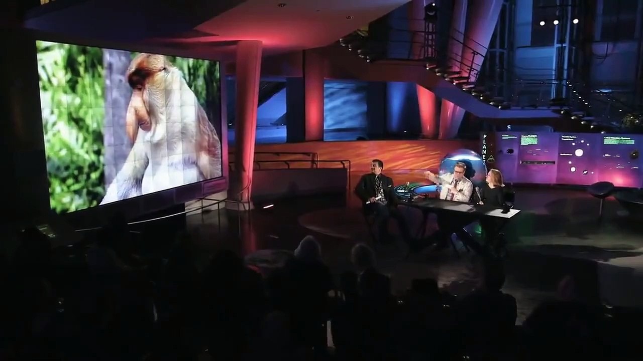 StarTalk with Neil deGrasse Tyson - Se4 - Ep14 HD Watch HD Deutsch