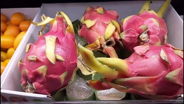 ما هى فاكهة التنين (Dragon Fruit) الزراعة_ مشروع _ فوائد أو البيتايا (Pitaya)؟(اسرار الزراعة)