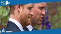 ANALYSE – William et Harry : leurs enfants, les vraies victimes de leur brouille