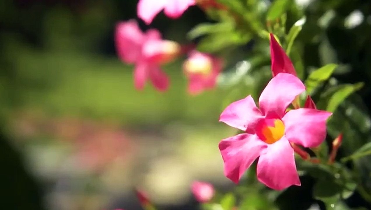 Martina's Table - Se1 - Ep05 - Listening Party HD Watch HD Deutsch