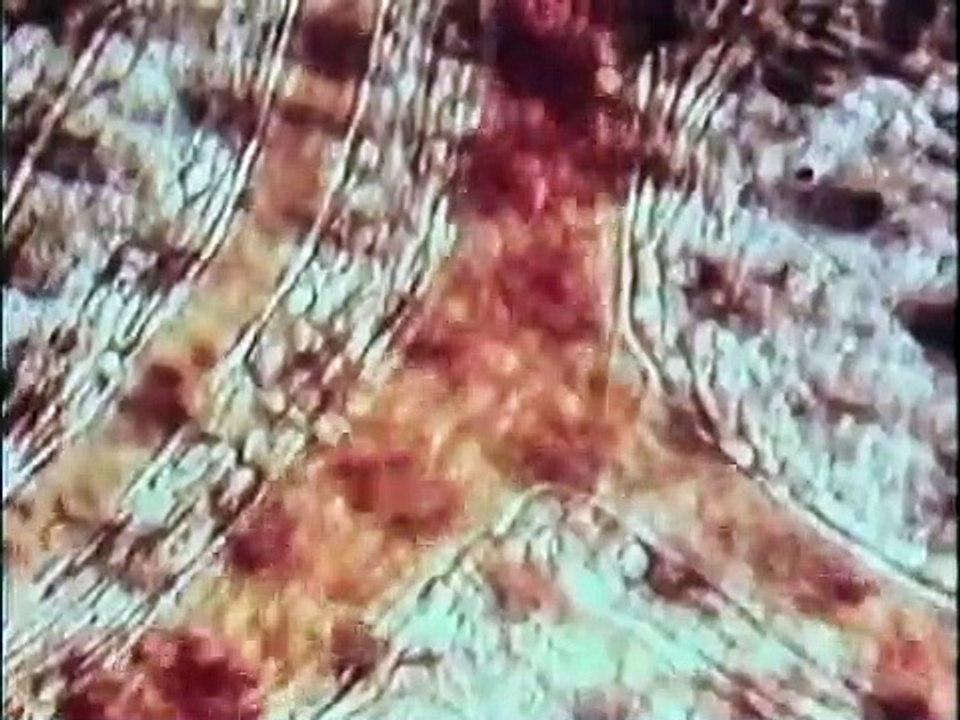 In Search of... - Se3 - Ep06 HD Watch HD Deutsch