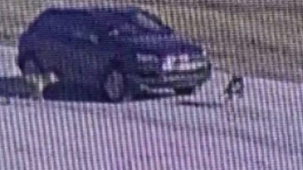 Tuzla’da bir sürücü köpeği ezip kaçtı