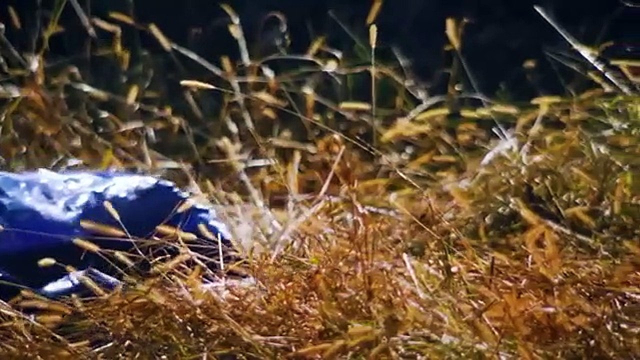 In Pursuit With John Walsh - Se1 - Ep06 - Deadly Double Life HD Watch HD Deutsch