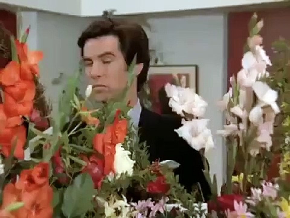 Remington Steele - Se2 - Ep22 HD Watch HD Deutsch