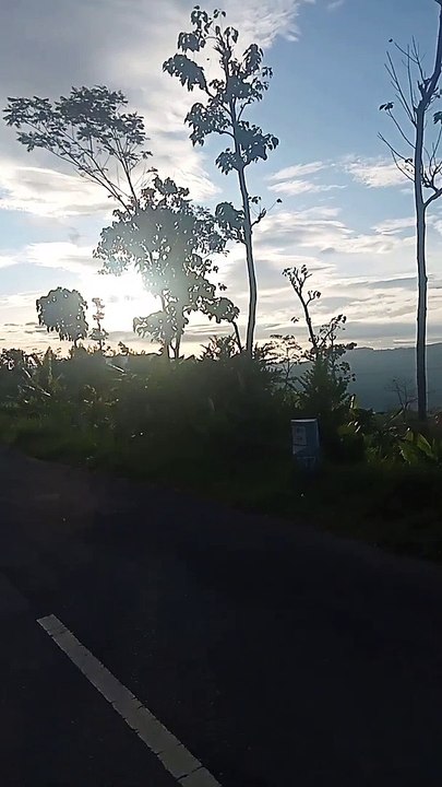 VID20221221055146 (1)