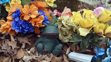 Wrong Man - Se2 - Ep01 HD Watch HD Deutsch