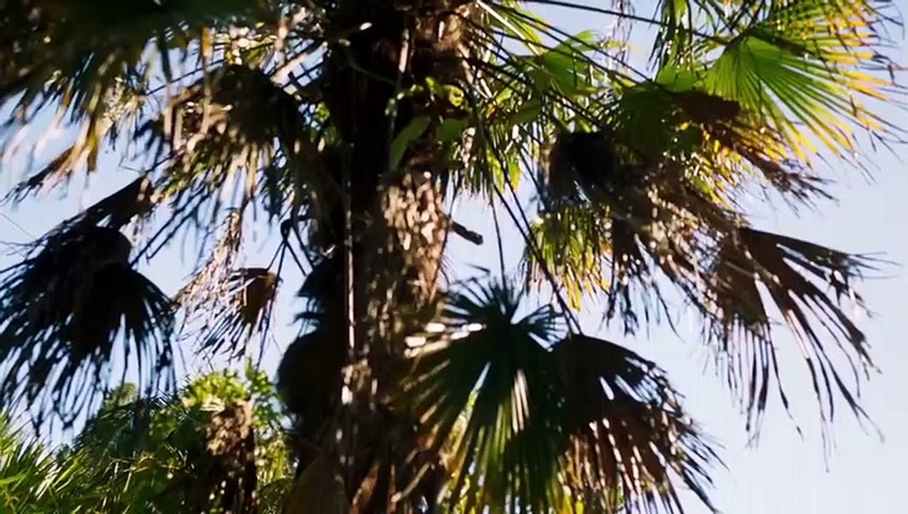 800 Words - Se2 - Ep08 HD Watch HD Deutsch