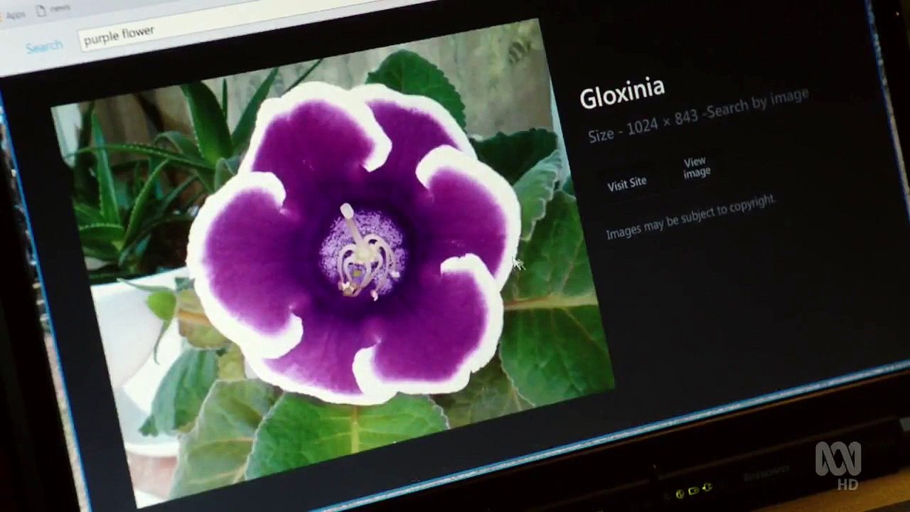 Jack Irish - Se4 - Ep06 HD Watch HD Deutsch