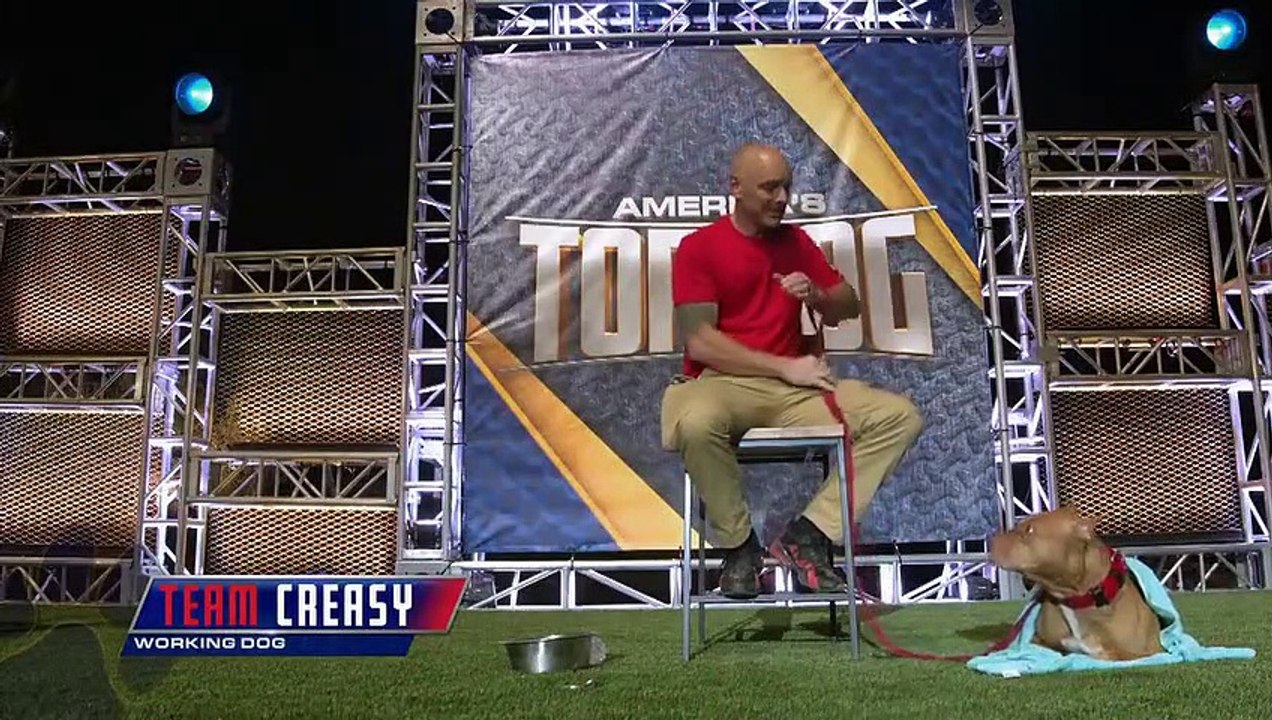 America's Top Dog - Se2 - Ep03 HD Watch HD Deutsch