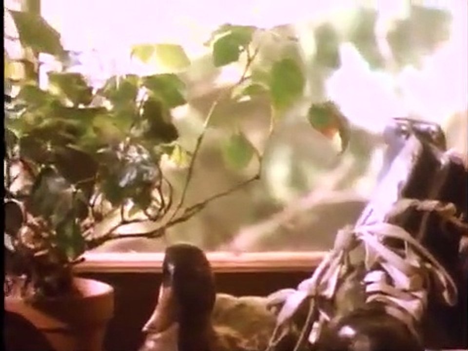 Coach - Se3 - Ep15 HD Watch HD Deutsch