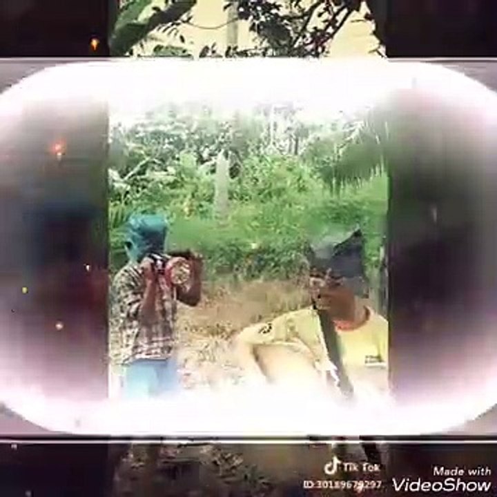Funny videos