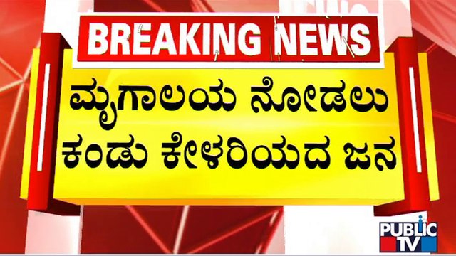 Thousands Of People Throng Mysuru Zoo On Christmas | Public TV