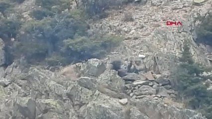 Dron ile tespit edilen kaçak avcılara para cezası