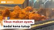 Tular tikus ‘asyik’ makan ayam goreng, KKM arah premis tutup 14 hari