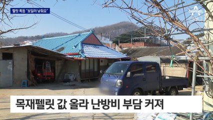 펠릿 값 폭등에 “보일러 낮춰요”…혹독한 겨울 보내는 농가