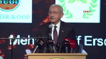 Kılıçdaroğlu'dan ormanlar ve orman köylüleri için CHP’nin 15 maddelik çözüm önerisi