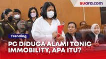 Putri Candrawathi Diduga Alami Tonic Immobility Pelecehan Seksual, Apa Itu?