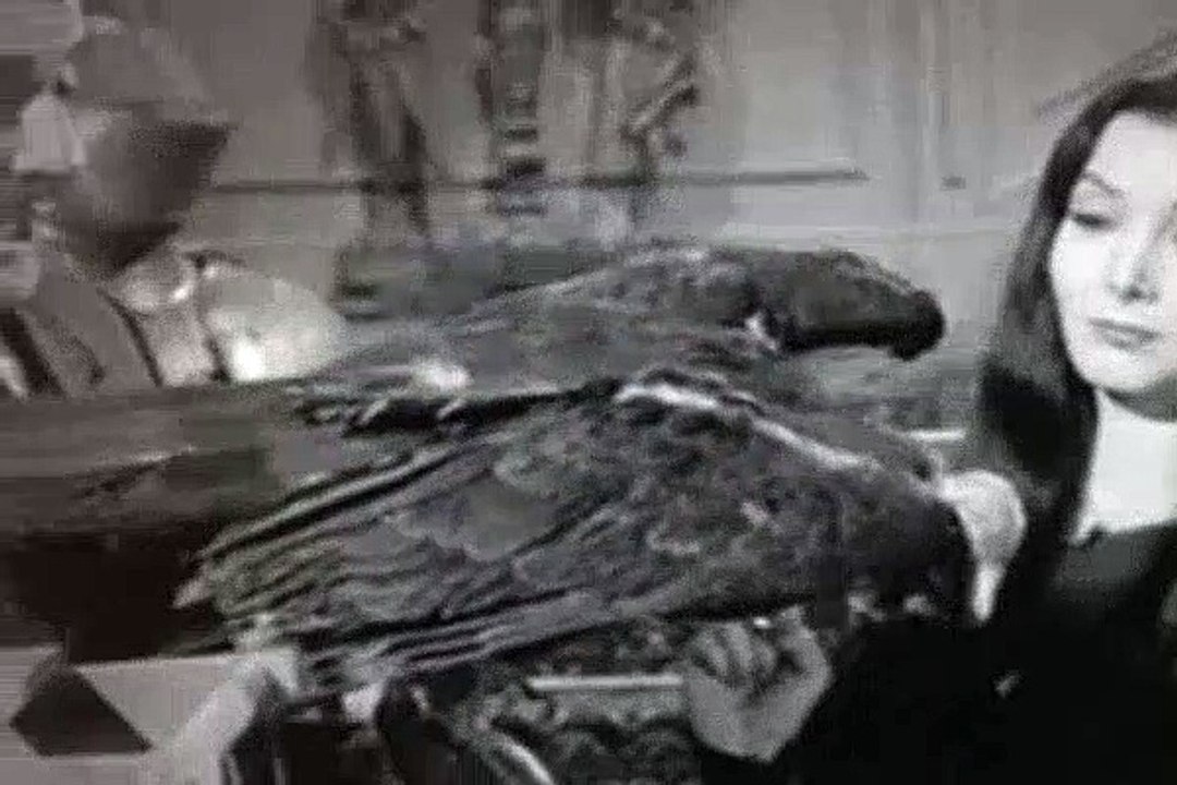 The Addams Family Season 2 Episode 23 Morticia, The Decorator