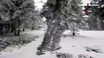 Abant Tabiat Parkı'nda kar yağışı başladı