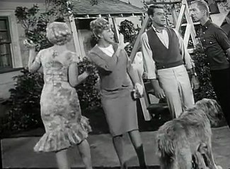 My Favorite Martian S02 E04