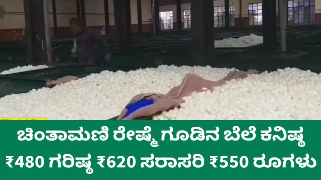 ಇಂದಿನ ರೇಷ್ಮೆ ಧಾರಣೆ ಎಷ್ಟು ಗೊತ್ತಾ? ಇಲ್ಲಿದೆ ನೋಡಿ ಮಾಹಿತಿ…