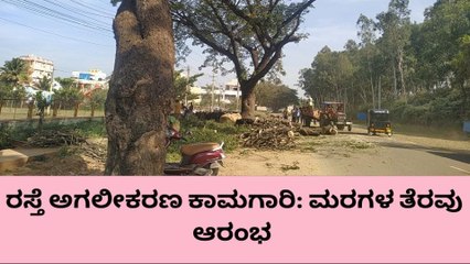 ಹೊಸಪೇಟೆ: ರಸ್ತೆ ಅಗಲೀಕರಣ ಕಾಮಗಾರಿ, ಮರಗಳ ತೆರವು