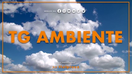 Tg Ambiente - 25/12/2022