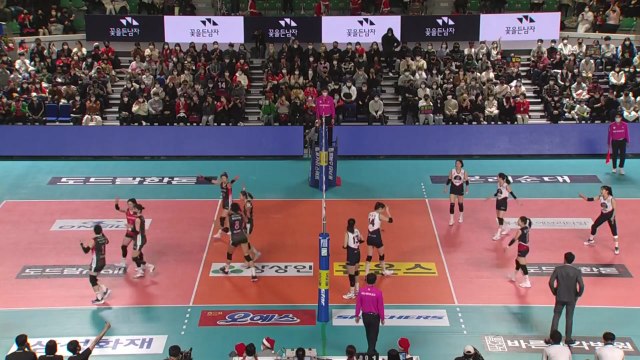 대한항공 산타들, 팬들에게 '8연승' 크리스마스 선물 선사 / YTN