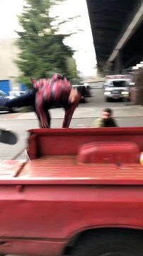 Skateboarder boardslides cab of pickup truck and hits his face on truck