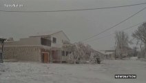 Buffalo buried under snow amid deadly US winter blizzard