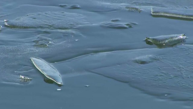 최강 한파 속 이번 겨울 첫 한강 결빙...예년보다 16일 빨라 / YTN