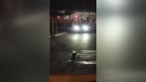 Un conductor se da a la fuga tras atropellar a varias personas en Jerez durante una pelea