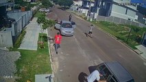 Câmera flagra farra do boi em Florianópolis e ação é denunciada à polícia