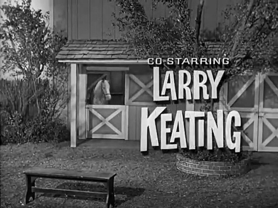 Mister Ed - Se3 - Ep20 HD Watch HD Deutsch