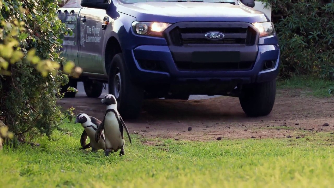 Penguin Town - Se1 - Ep06 HD Watch HD Deutsch