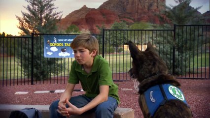 MAGIE AUF 4 PFOTEN (2015) Filme Deustche HD HD Deutsch