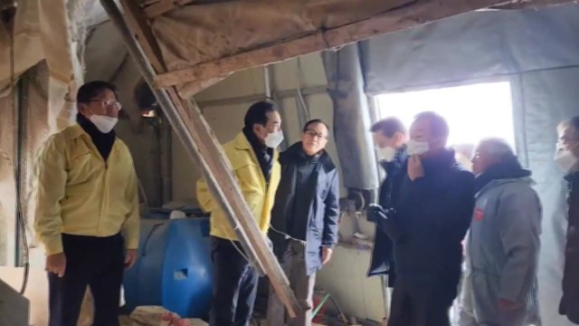 농협중앙회장 폭설 피해 농가 방문... 피해 복구 지원 / YTN