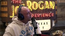 Joe Rogan: The MOST Influential Family In Martial Arts & Gordon Ryan Is The GOAT Of This Generation!