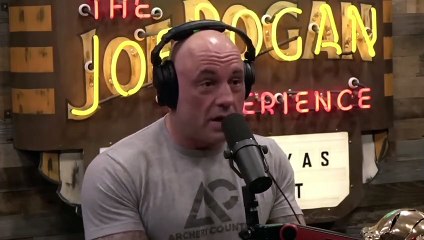 Joe Rogan: Bee's Go Extinct So Will EVERYTHING On The Planet!! & Are Cell Phones BAD With Bee's?!