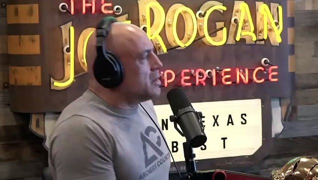 Joe Rogan: Bee's Use Earths Magnetic Poles To Navigate!! The Same Way Pyramids Are Built!!