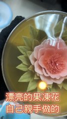 漂亮的果凍花自己親手做的#忠駝論壇 #柯文哲 #王鴻薇 #吳怡農 #蔡英文 #高虹安 #上熱門 #fyp  #foryoupage #viral #上推薦通知我 #上推薦 #f4f #蔣萬安 #蘇貞昌 #陳時中