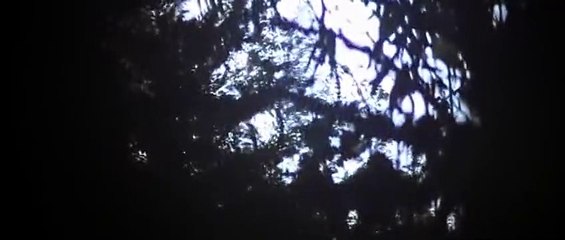 Camelot (1967) Watch HD - Part 02 HD Deutsch